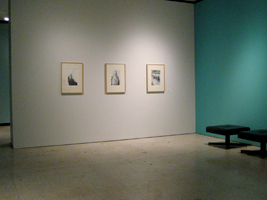 Andrea Soler gallery 2