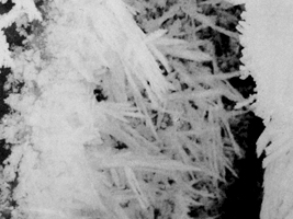 Andrea Soler Detail gallery 2